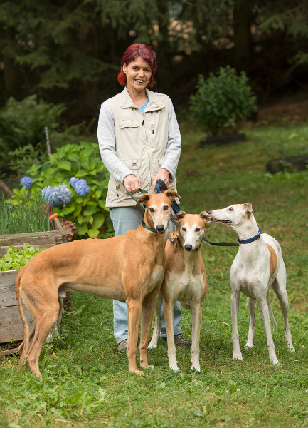 Michaela Maurer mit ihren Greyhounds Dexter, Jo Ann und Pepper